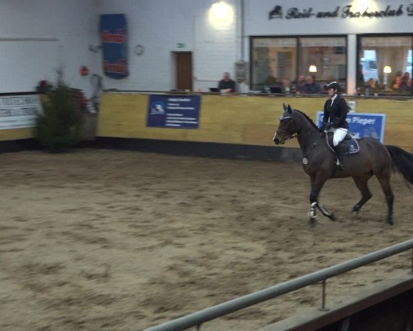 Reitturnier Heide 2021