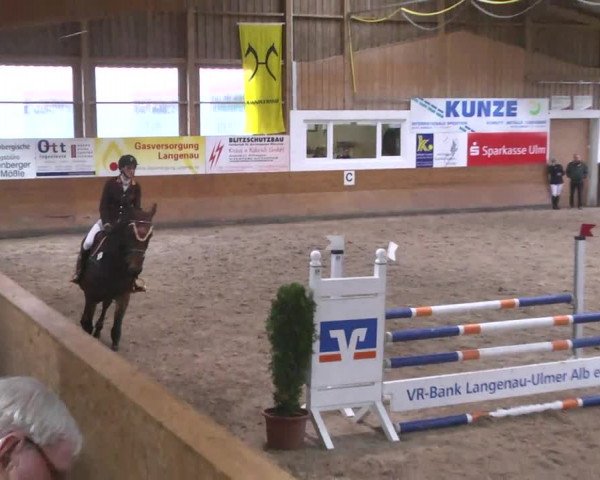 Springturnier Langenau 2016