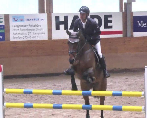 Springturnier Langenau 2016