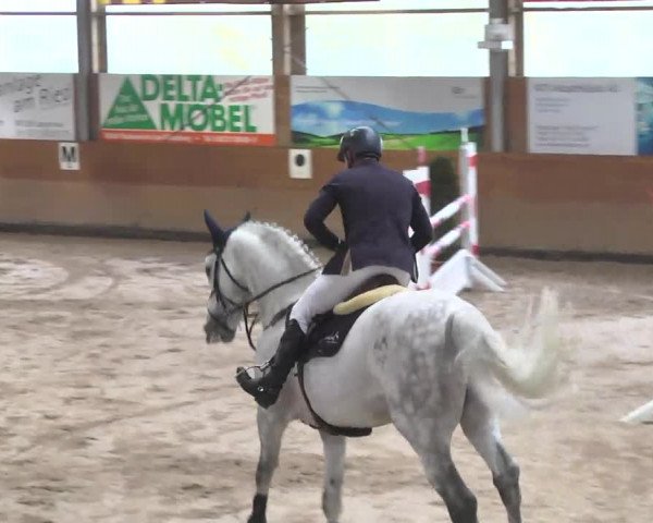 Springturnier Langenau 2016