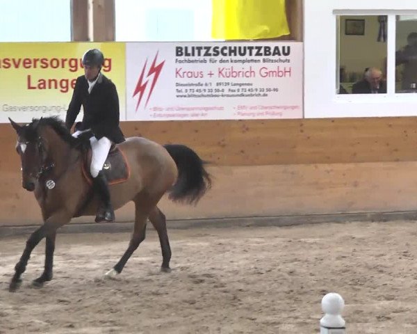 Springturnier Langenau 2016