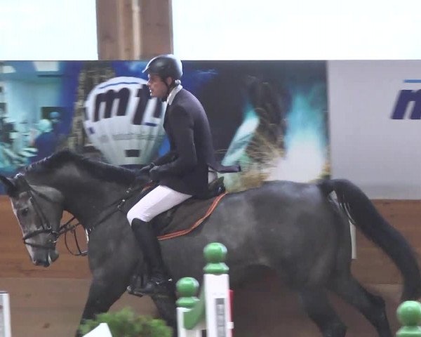 Springturnier Langenau 2016