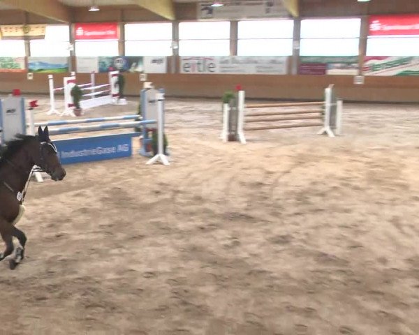 Springturnier Langenau 2016