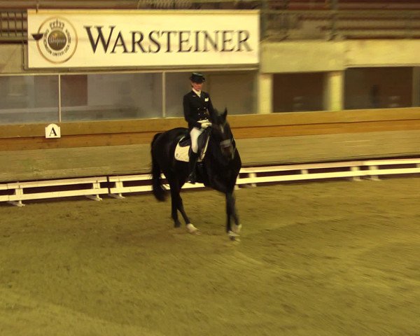 Dressurgala Paderborn 2016