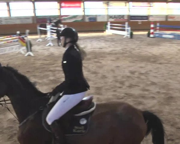 Springturnier Langenau 2016
