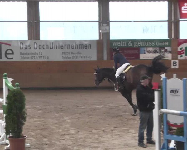 Springturnier Langenau 2016