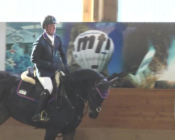 Springturnier Langenau 2016