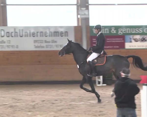 Springturnier Langenau 2016