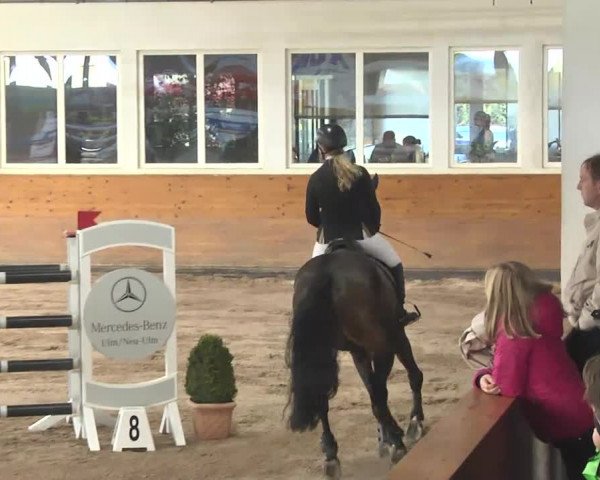 Springturnier Langenau 2016