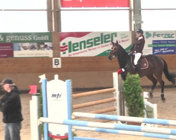 Springturnier Langenau 2016