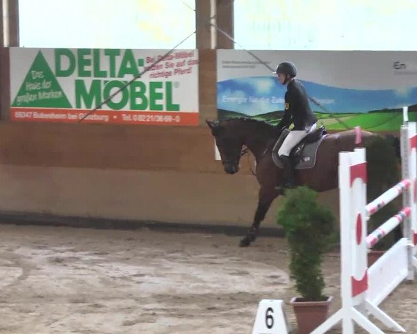 Springturnier Langenau 2016