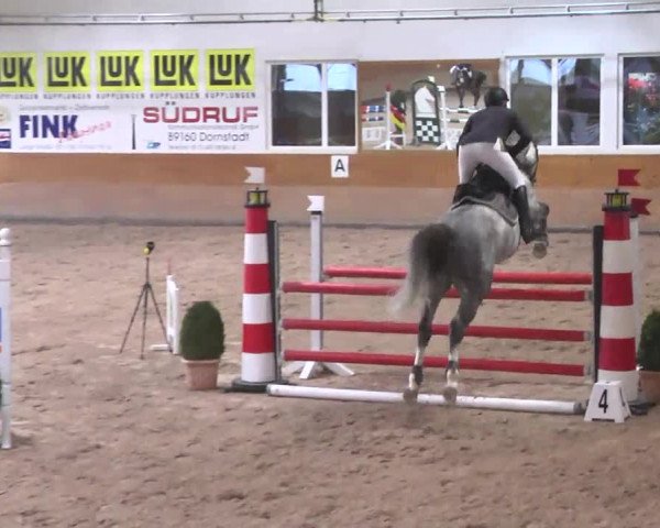 Springturnier Langenau 2016
