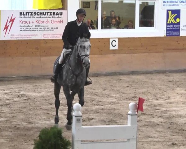 Springturnier Langenau 2016