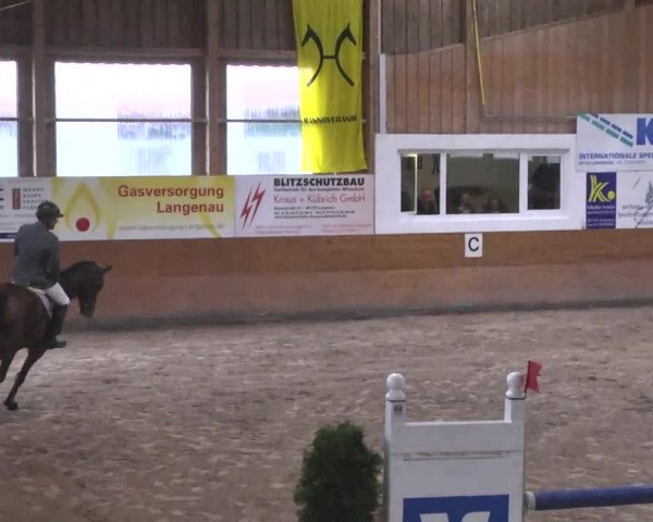 Springturnier Langenau 2016