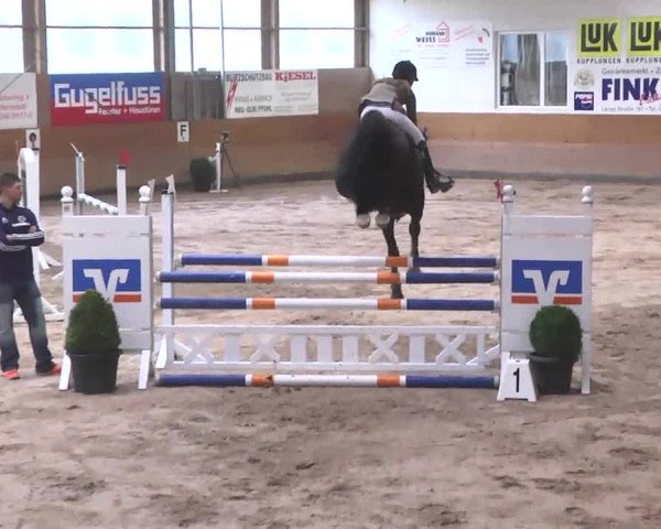 Springturnier Langenau 2016