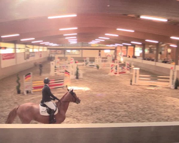 Hallenturnier Vlotho-Valdorf 2016