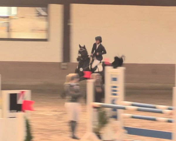 Hallenturnier Vlotho-Valdorf 2016