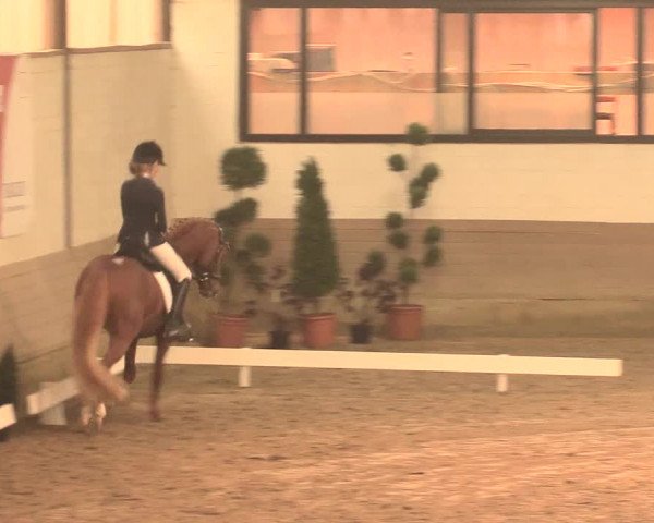 Hallenturnier Vlotho-Valdorf 2016