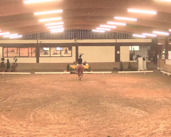 Hallenturnier Vlotho-Valdorf 2016