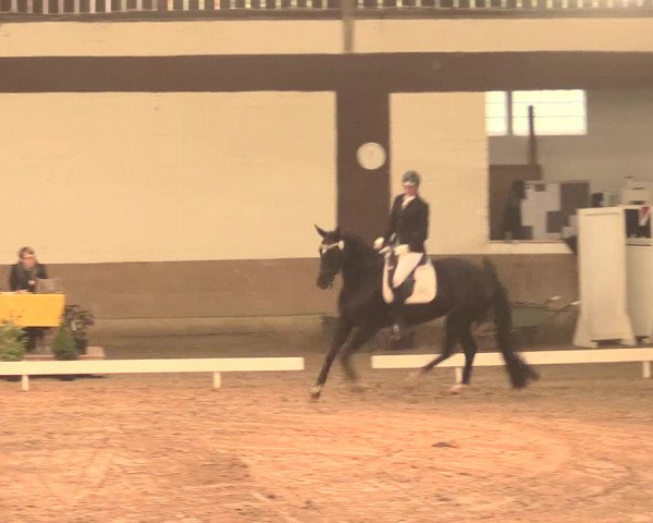 Hallenturnier Vlotho-Valdorf 2016