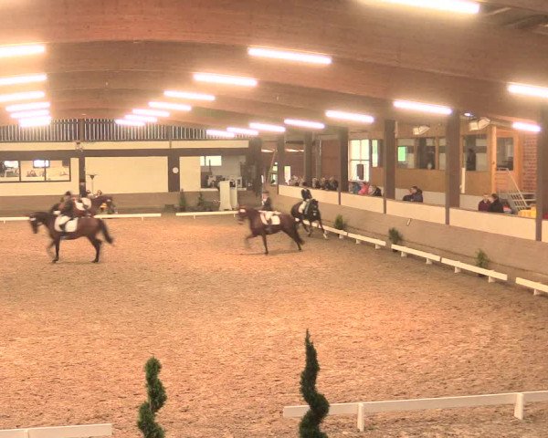 Hallenturnier Vlotho-Valdorf 2016