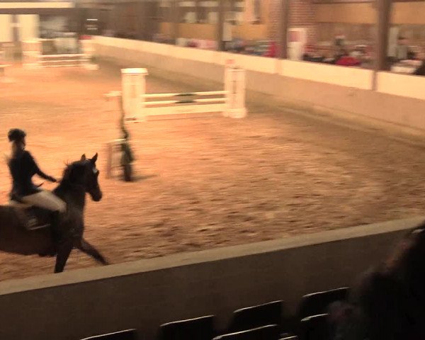 Hallenturnier Vlotho-Valdorf 2016