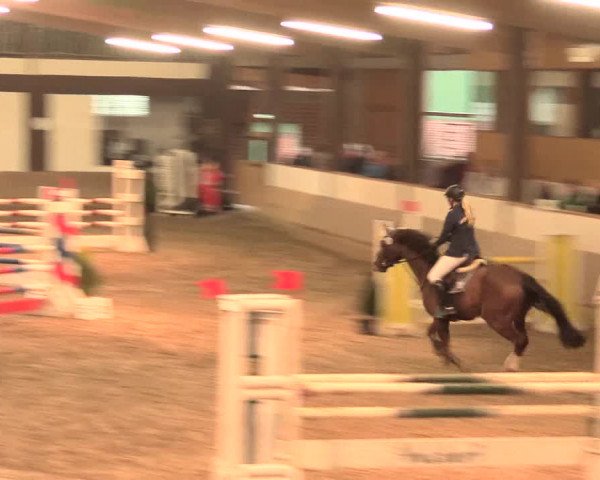 Hallenturnier Vlotho-Valdorf 2016