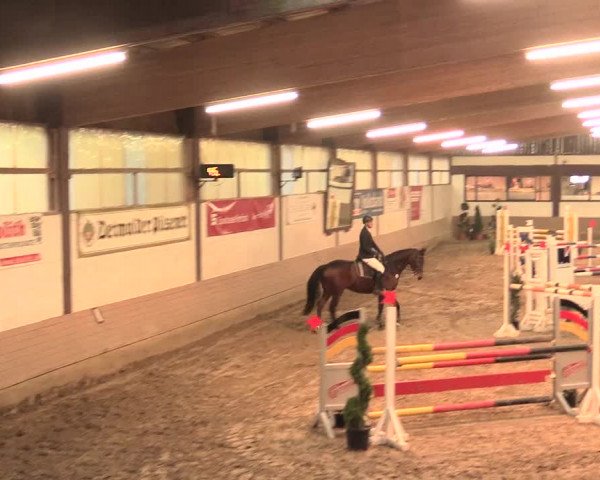 Hallenturnier Vlotho-Valdorf 2016