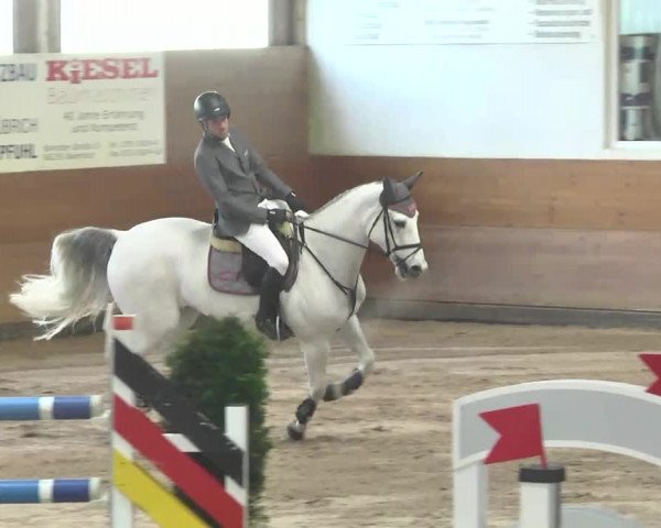 Springturnier Langenau 2016