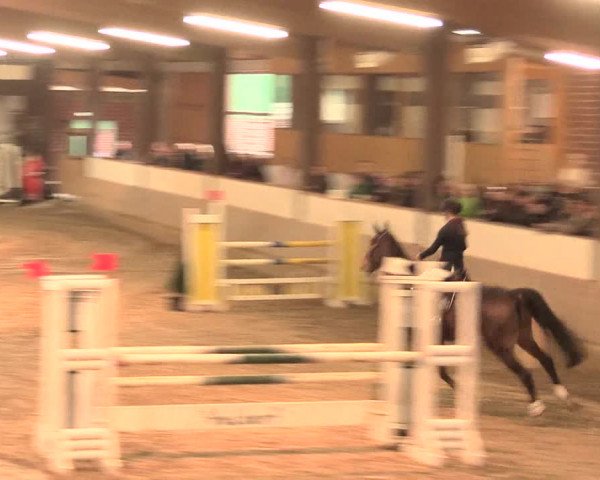 Hallenturnier Vlotho-Valdorf 2016