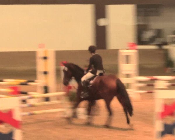 Hallenturnier Vlotho-Valdorf 2016