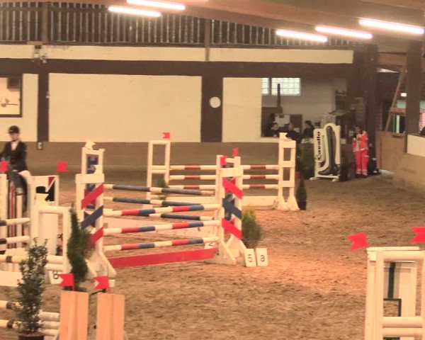 Hallenturnier Vlotho-Valdorf 2016