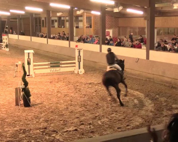 Hallenturnier Vlotho-Valdorf 2016