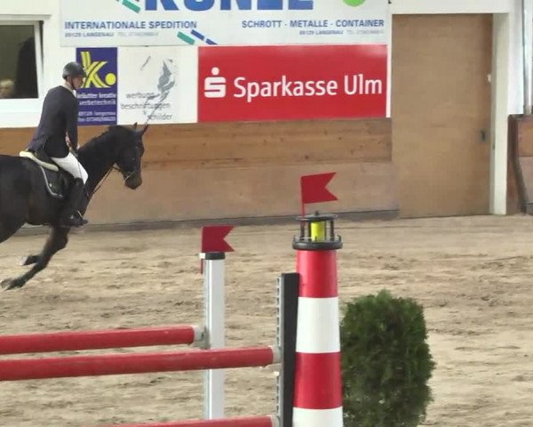 Springturnier Langenau 2016
