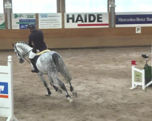 Springturnier Langenau 2016