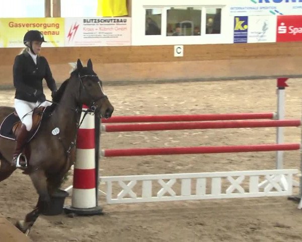 Springturnier Langenau 2016