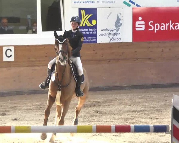 Springturnier Langenau 2016