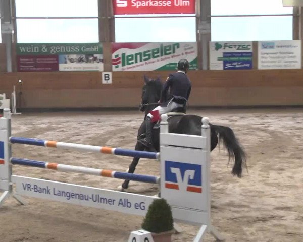 Springturnier Langenau 2016