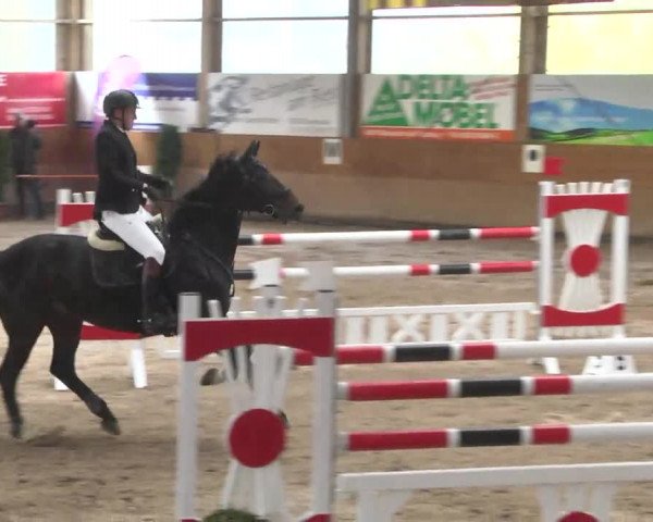 Springturnier Langenau 2016