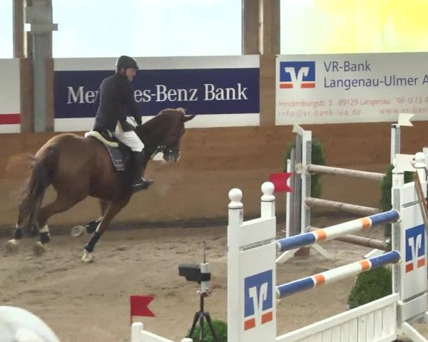 Springturnier Langenau 2016