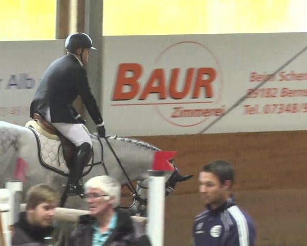 Springturnier Langenau 2016