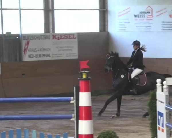 Springturnier Langenau 2016