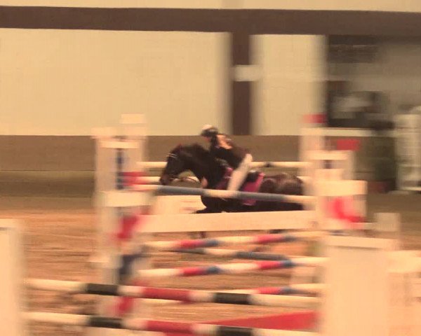 Hallenturnier Vlotho-Valdorf 2016