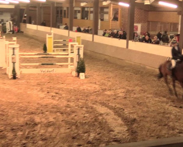 Hallenturnier Vlotho-Valdorf 2016