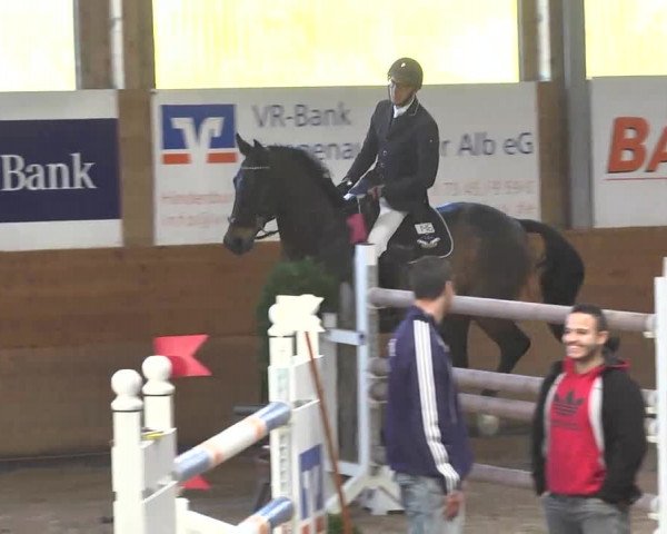 Springturnier Langenau 2016