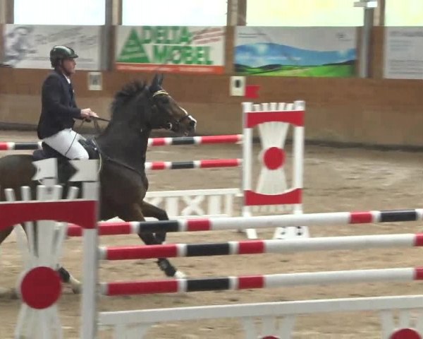 Springturnier Langenau 2016