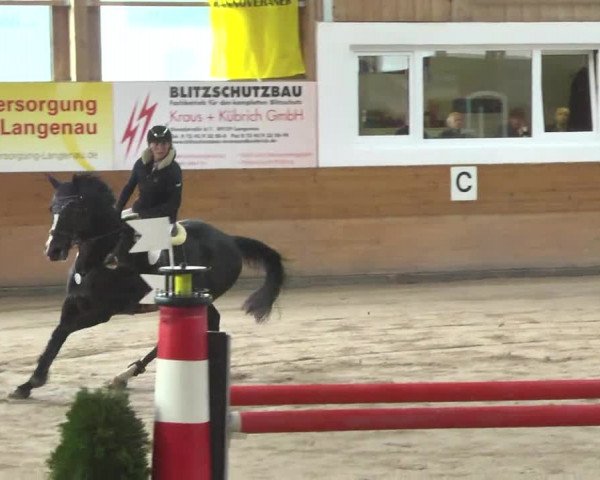 Springturnier Langenau 2016