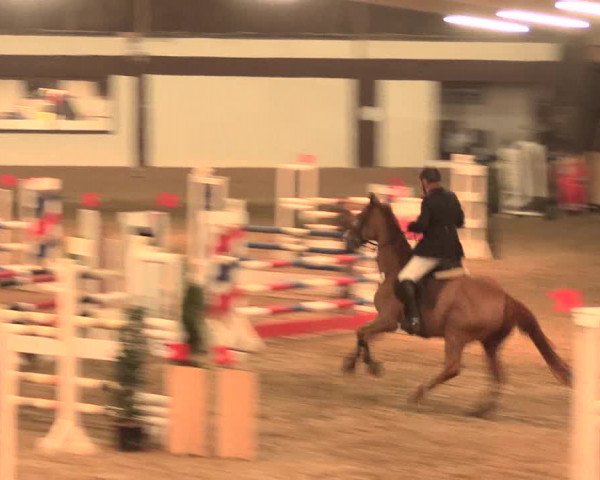 Hallenturnier Vlotho-Valdorf 2016