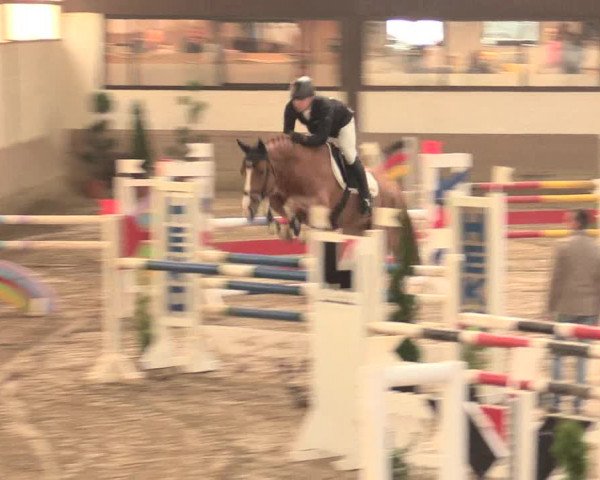Hallenturnier Vlotho-Valdorf 2016