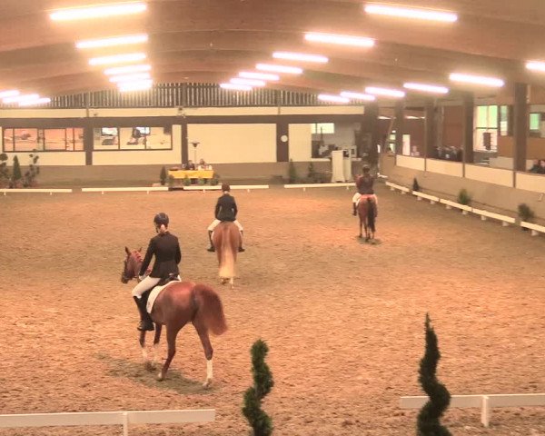 Hallenturnier Vlotho-Valdorf 2016